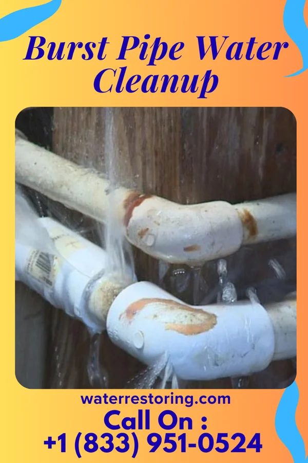 Burst Pipe Water Cleanup in Lynnwood-Pricedale, PA