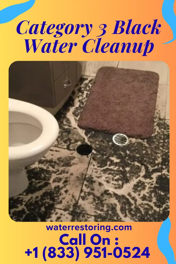 Category 3 Black Water Cleanup in Lynnwood-Pricedale, PA