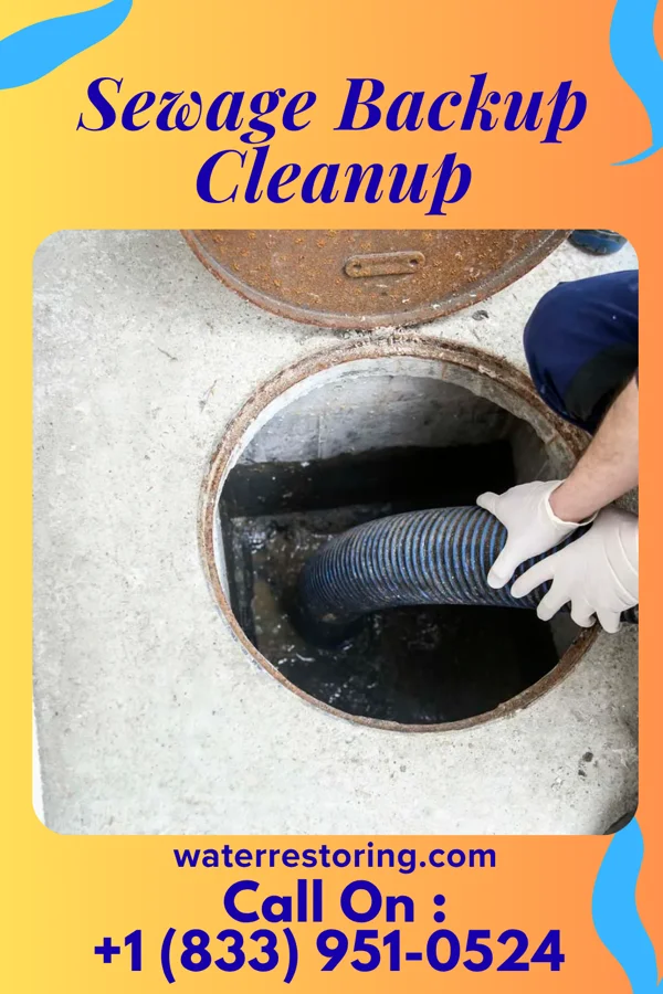 Sewage Backup Cleanup in Lynnwood-Pricedale, PA