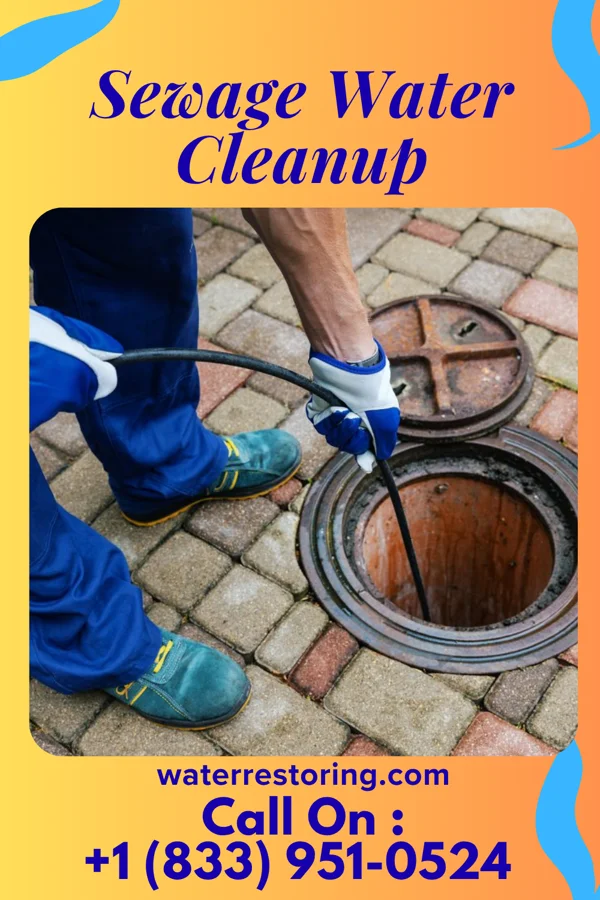 Sewage Water Cleanup in Lynnwood-Pricedale, PA