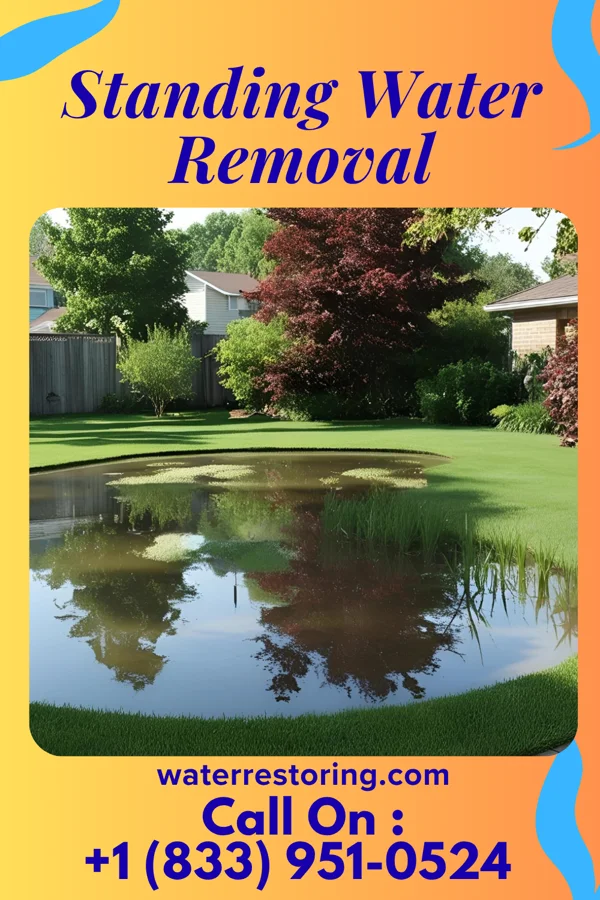 Standing Water Removal in Lynnwood-Pricedale, PA